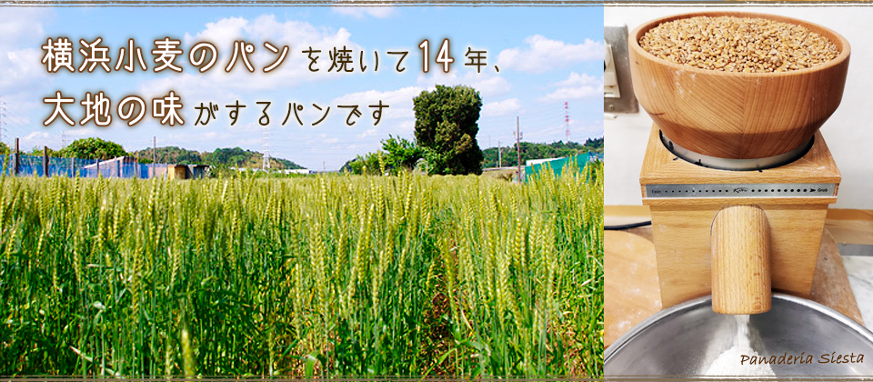 こどもの国のパン屋さん、パナデリアシエスタ- 横浜市青葉区で栽培した小麦を使ったパン-